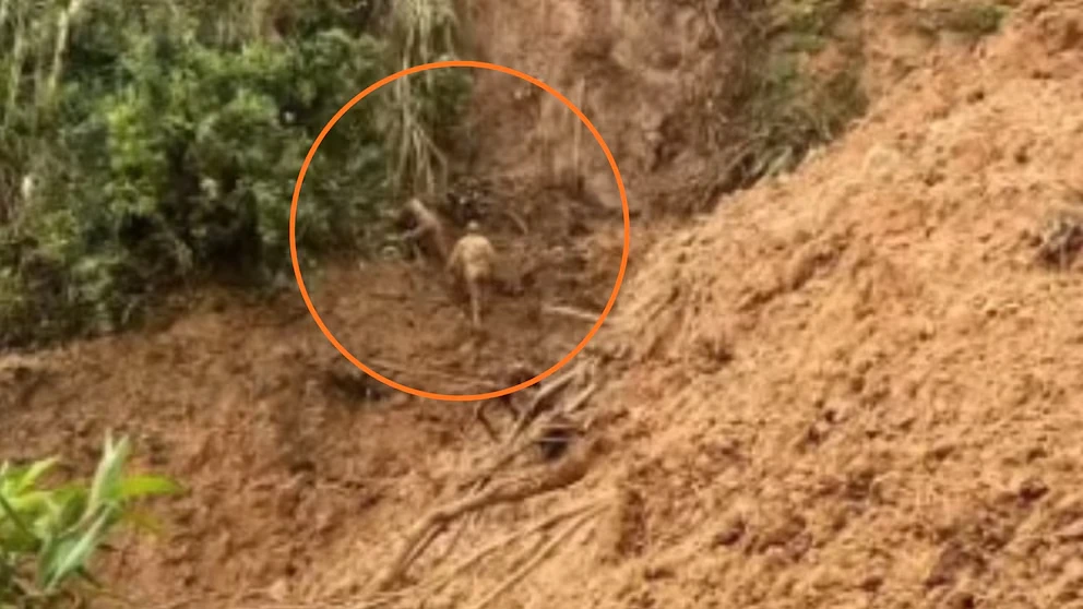 Huaico arrastra vehículos con pasajeros en Ayabaca